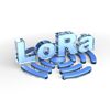IoT Datenübertragung per LoRa Funk